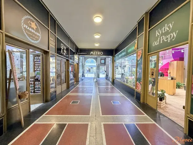 Pronájem bytu 2+kk, Praha - Staré Město, Národní, 52 m2