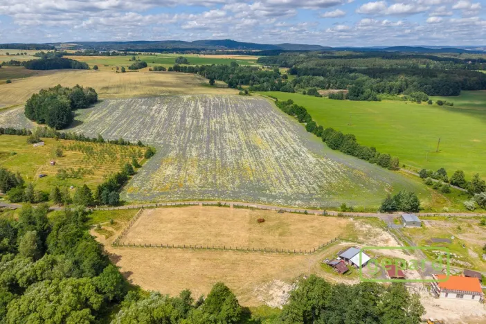Prodej pozemku pro bydlení, Františkovy Lázně - Krapice, 1021 m2