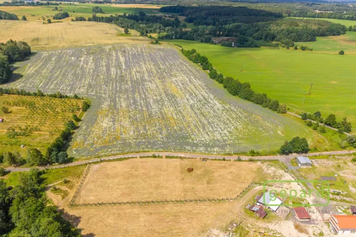 Prodej pozemku pro bydlení, Františkovy Lázně - Krapice, 1129 m2