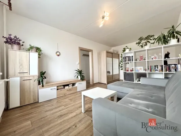 Prodej bytu 1+1, Jirkov, Smetanovy sady, 40 m2