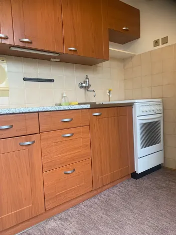 Prodej bytu 2+1, Praha, V olšinách, 45 m2