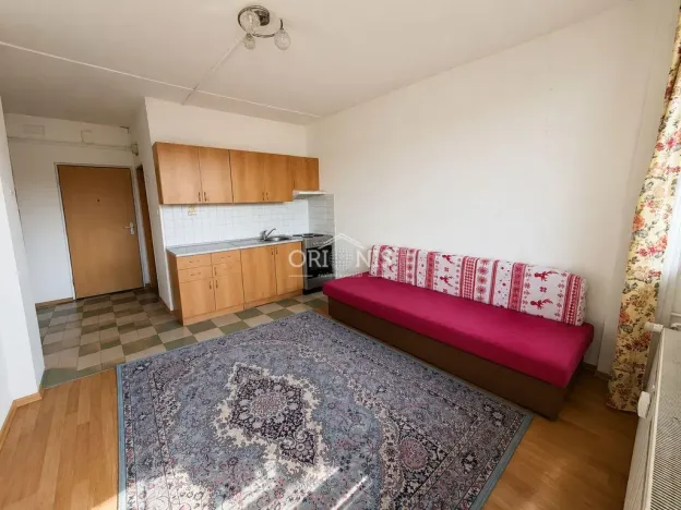 Prodej bytu 1+kk, Chomutov, Havlíčkova, 24 m2