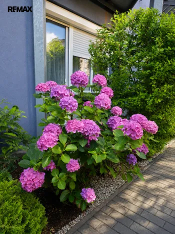 Prodej bytu 3+kk, Praha - Horní Počernice, Dandova, 58 m2