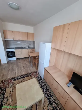 Pronájem bytu 1+kk, Brno, Charbulova, 29 m2