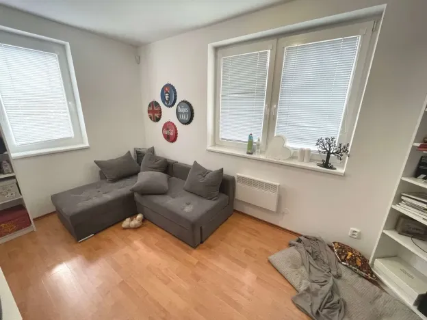 Pronájem rodinného domu, Trnová, 250 m2