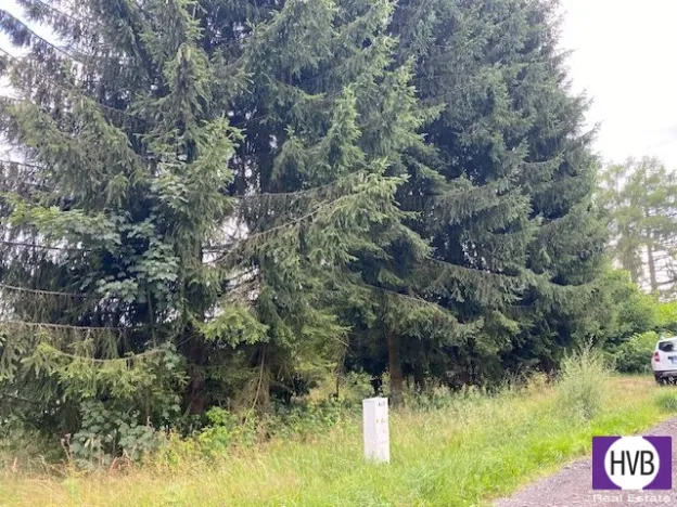 Prodej pozemku pro bydlení, Rotava, Sklenský vrch, 511 m2