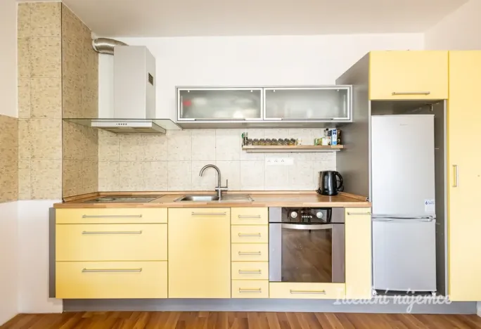 Pronájem bytu 1+1, České Budějovice - České Budějovice 2, Na Zlaté stoce, 45 m2