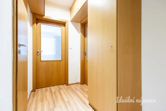 Pronájem bytu 1+1, České Budějovice - České Budějovice 2, Na Zlaté stoce, 45 m2