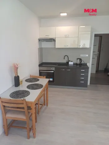 Pronájem bytu 1+kk, Týn nad Vltavou, Komenského, 20 m2