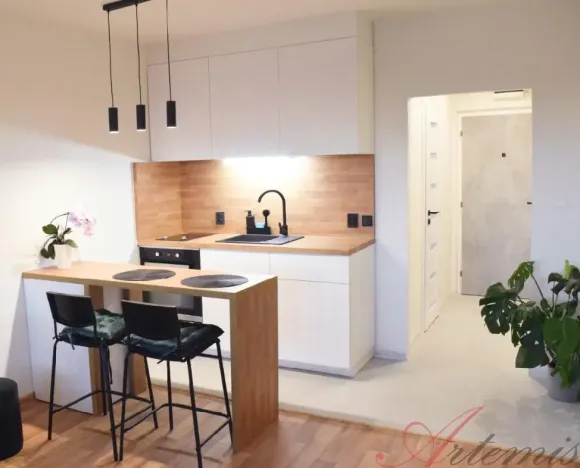Pronájem bytu 1+kk, Ostrava - Výškovice, Výškovická, 28 m2