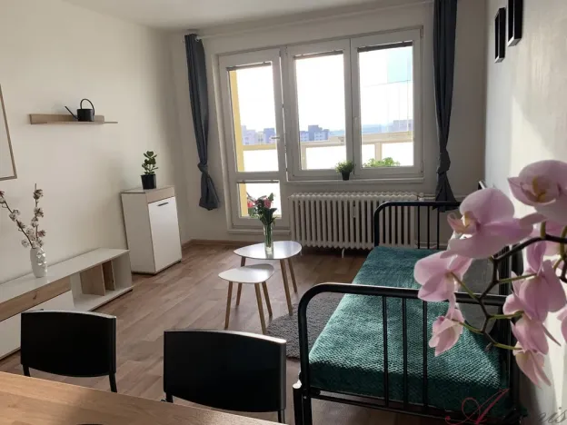 Pronájem bytu 1+kk, Ostrava - Výškovice, Výškovická, 28 m2
