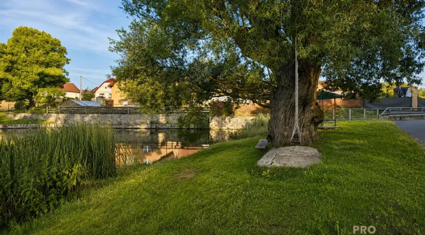 Prodej komerční nemovitosti, Brtnice, 174 m2