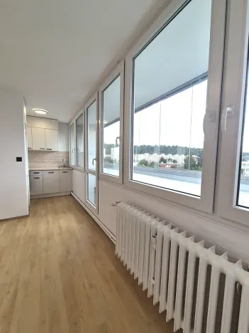 Prodej bytu 1+kk, Praha - Karlín, Nekvasilova, 29 m2