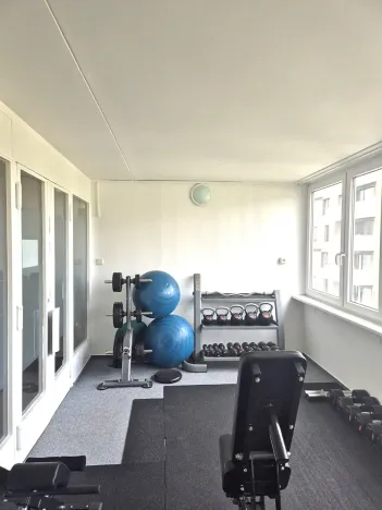 Prodej bytu 1+kk, Praha - Karlín, Nekvasilova, 29 m2