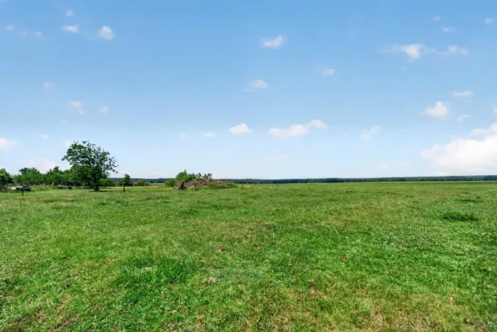 Prodej pozemku pro bydlení, Mladošovice, 1168 m2
