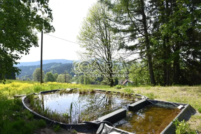 Prodej pozemku pro bydlení, Kořenov - Polubný, 1228 m2