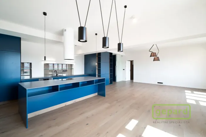 Pronájem bytu 3+kk, Praha - Vinohrady, Perucká, 120 m2