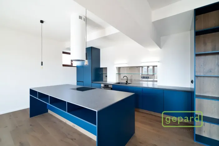 Pronájem bytu 3+kk, Praha - Vinohrady, Perucká, 120 m2