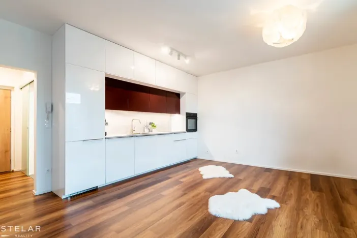 Pronájem bytu 1+kk, Hranice - Hranice I-Město, Pod Nemocnicí, 43 m2