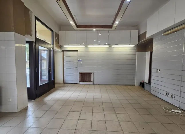 Pronájem obchodního prostoru, Praha, Braunerova, 67 m2