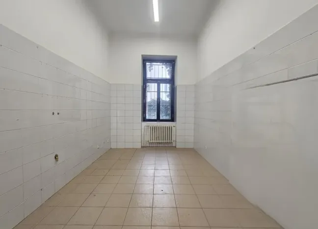 Pronájem obchodního prostoru, Praha, Braunerova, 67 m2