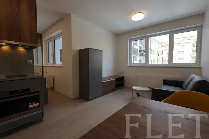 Pronájem bytu 1+kk, Praha - Holešovice, V háji, 38 m2