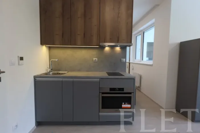 Pronájem bytu 1+kk, Praha - Holešovice, V háji, 38 m2