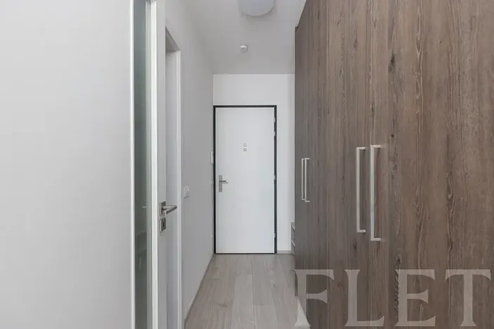 Pronájem bytu 2+kk, Praha - Žižkov, Hartigova, 47 m2