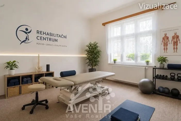 Prodej obchodního prostoru, Kroměříž, Žižkova, 244 m2