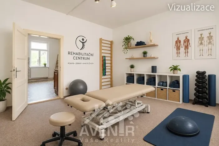 Prodej obchodního prostoru, Kroměříž, Žižkova, 244 m2