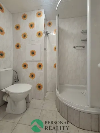 Pronájem bytu 2+kk, Bílina - Teplické Předměstí, Čapkova, 41 m2