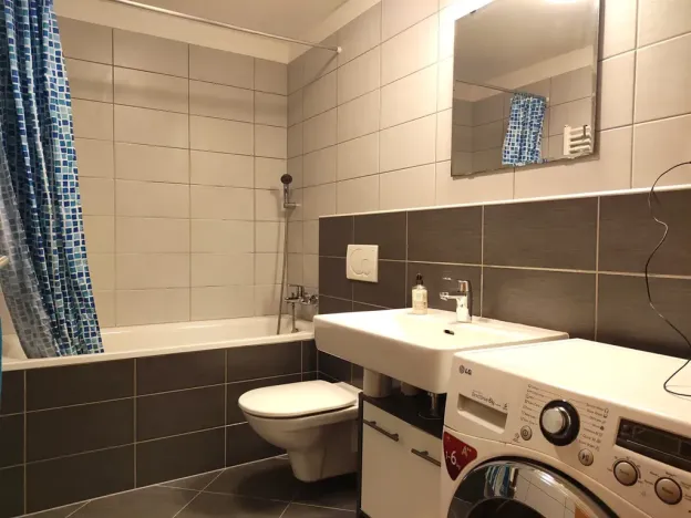 Pronájem bytu 1+kk, Brno, Škárova, 37 m2