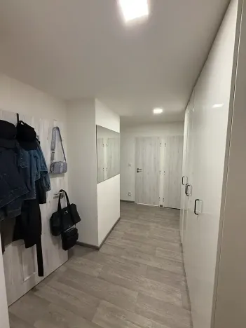 Pronájem bytu 1+1, Opava, Na Rybníčku, 38 m2