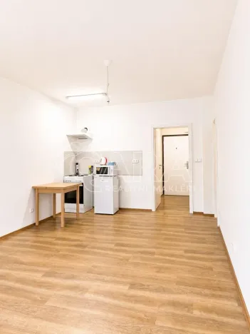 Prodej bytu 1+kk, Praha - Hodkovičky, Pod lysinami, 30 m2