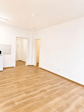 Prodej bytu 1+kk, Praha - Hodkovičky, Pod lysinami, 30 m2