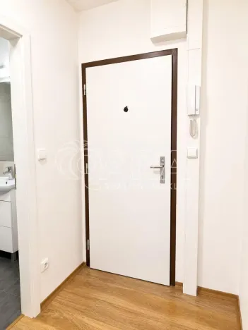 Prodej bytu 1+kk, Praha - Hodkovičky, Pod lysinami, 30 m2
