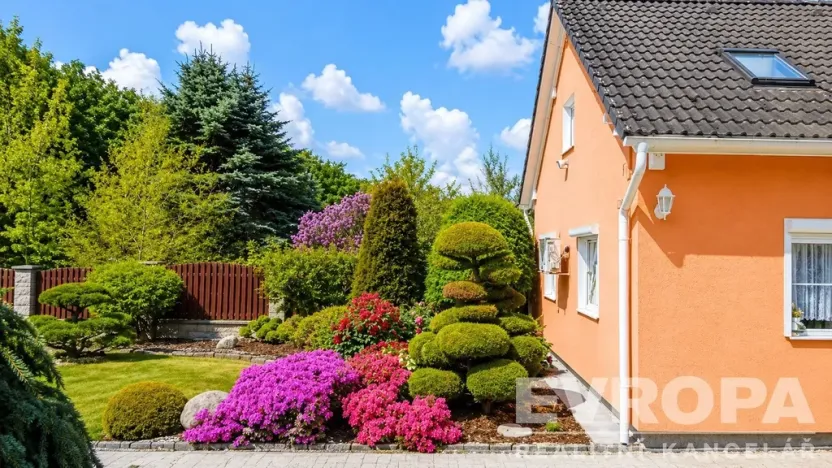 Prodej rodinného domu, Nová Ves pod Pleší, Průběžná, 298 m2