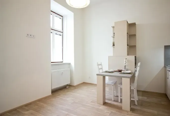 Pronájem bytu 1+kk, Brno, Koliště, 26 m2