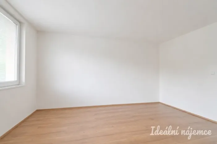 Pronájem bytu 2+1, Židlochovice, sídl. Družba, 52 m2