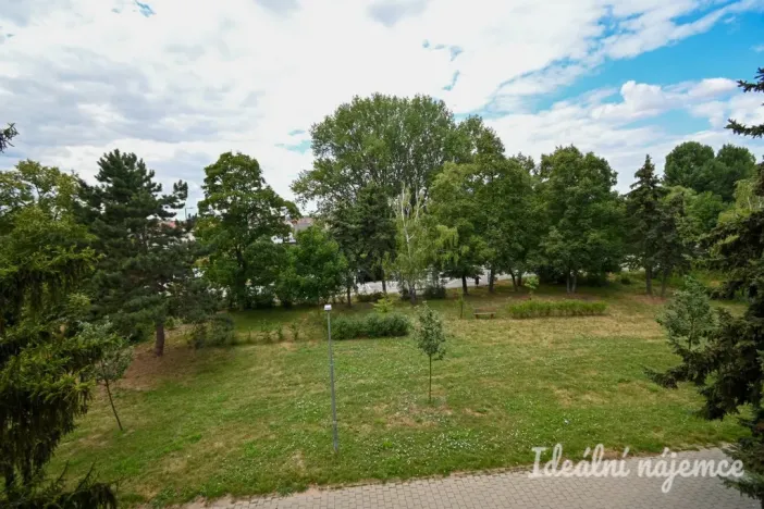 Pronájem bytu 2+1, Židlochovice, sídl. Družba, 52 m2
