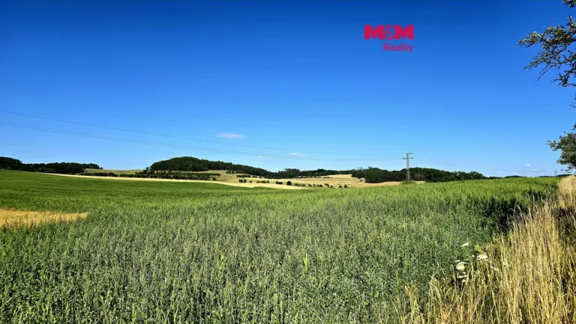 Prodej pole, Horažďovice - Komušín, 23877 m2