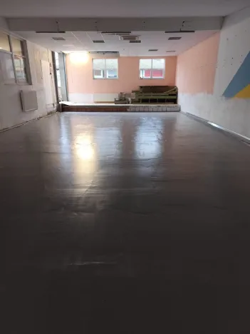 Pronájem skladu, Litovel, Vítězná, 265 m2