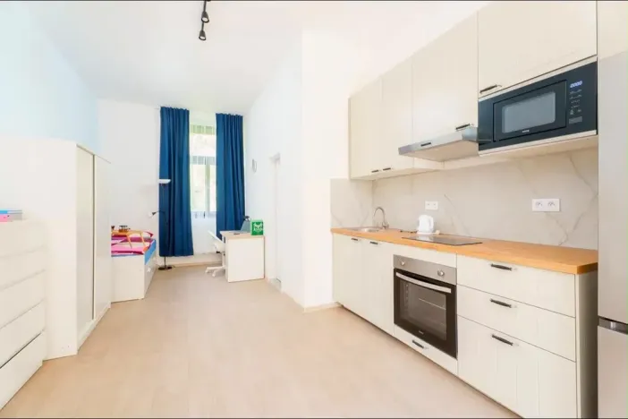 Pronájem bytu 1+kk, Planá, Karlín, 30 m2