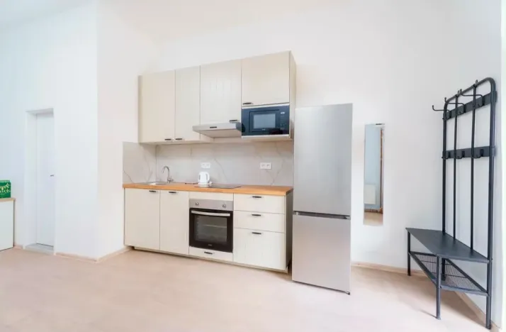 Pronájem bytu 1+kk, Planá, Karlín, 30 m2