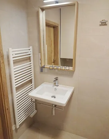 Pronájem bytu 2+kk, Praha, Křižíkova, 53 m2