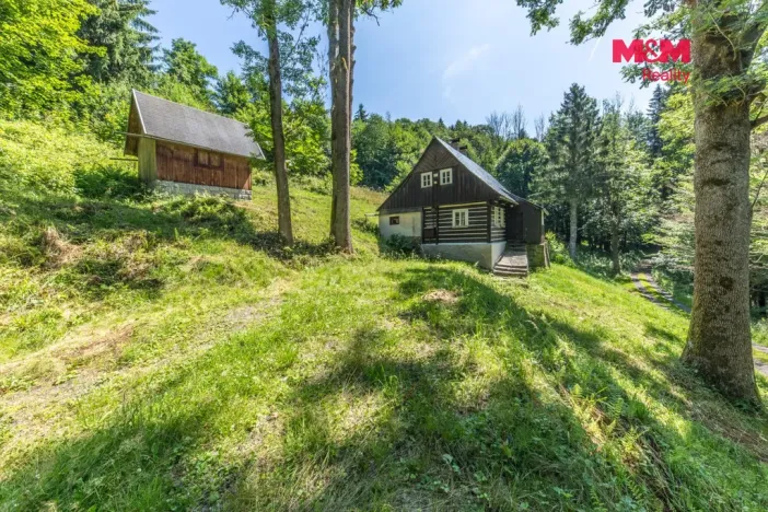 Prodej chalupy, Rokytnice nad Jizerou - Hranice, 120 m2