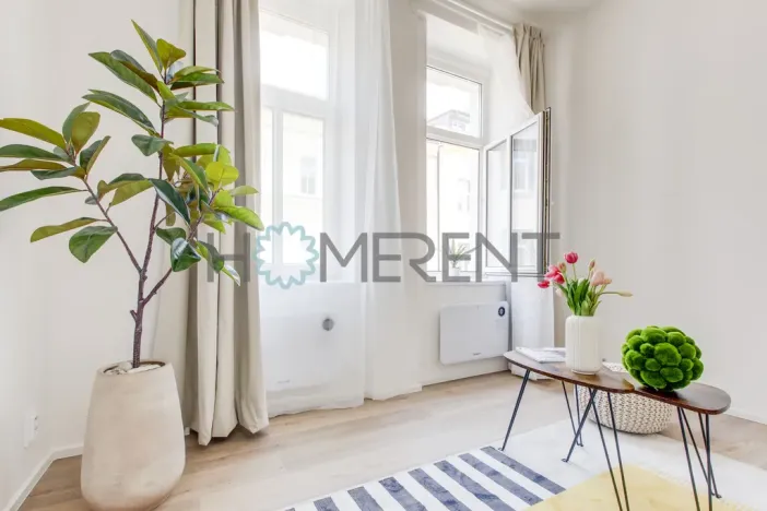 Pronájem bytu 1+kk, Praha - Vysočany, Kolmá, 19 m2