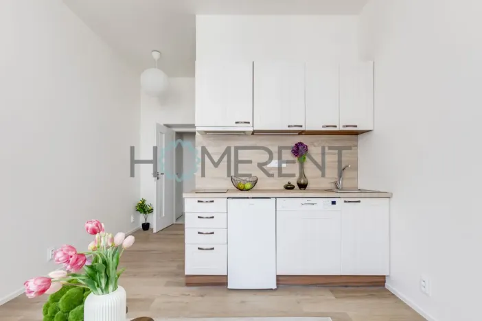 Pronájem bytu 1+kk, Praha - Vysočany, Kolmá, 19 m2