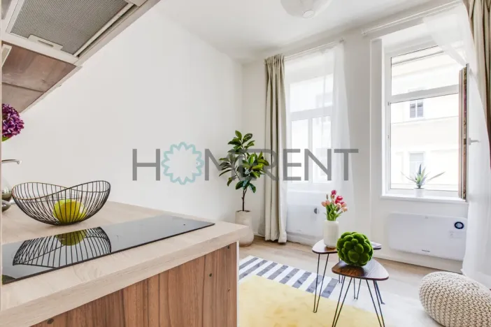 Pronájem bytu 1+kk, Praha - Vysočany, Kolmá, 19 m2