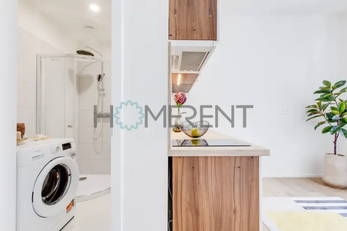 Pronájem bytu 1+kk, Praha - Vysočany, Kolmá, 19 m2